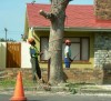 Disa Str - Hermanus - 011_s
